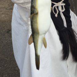 台風の合間の晴れた日に